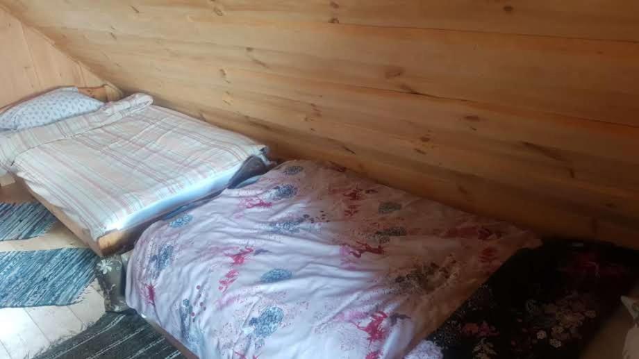 Oksa Puhkemaja ξενώνας Võru Εξωτερικό φωτογραφία